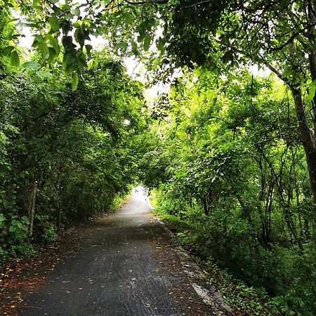 Misty Green Hills Parks & Resorts Kondotty エクステリア 写真