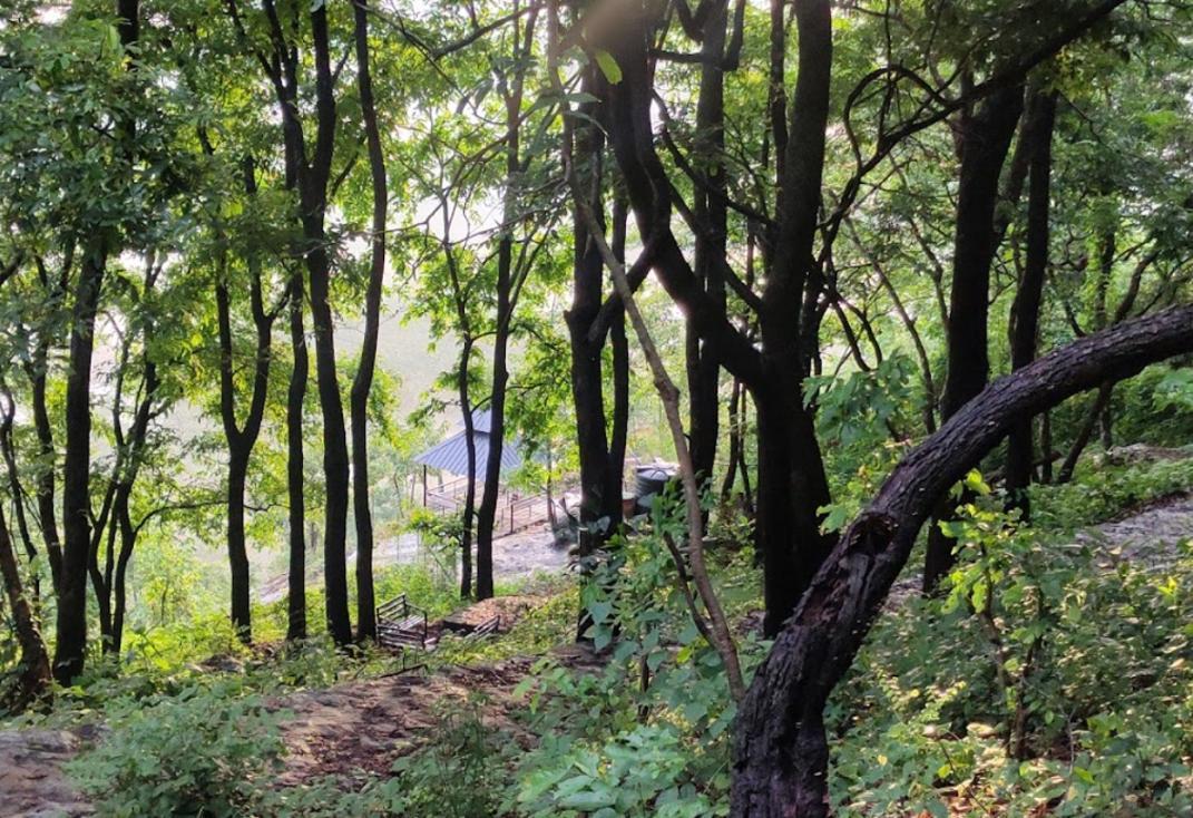 Misty Green Hills Parks & Resorts Kondotty エクステリア 写真