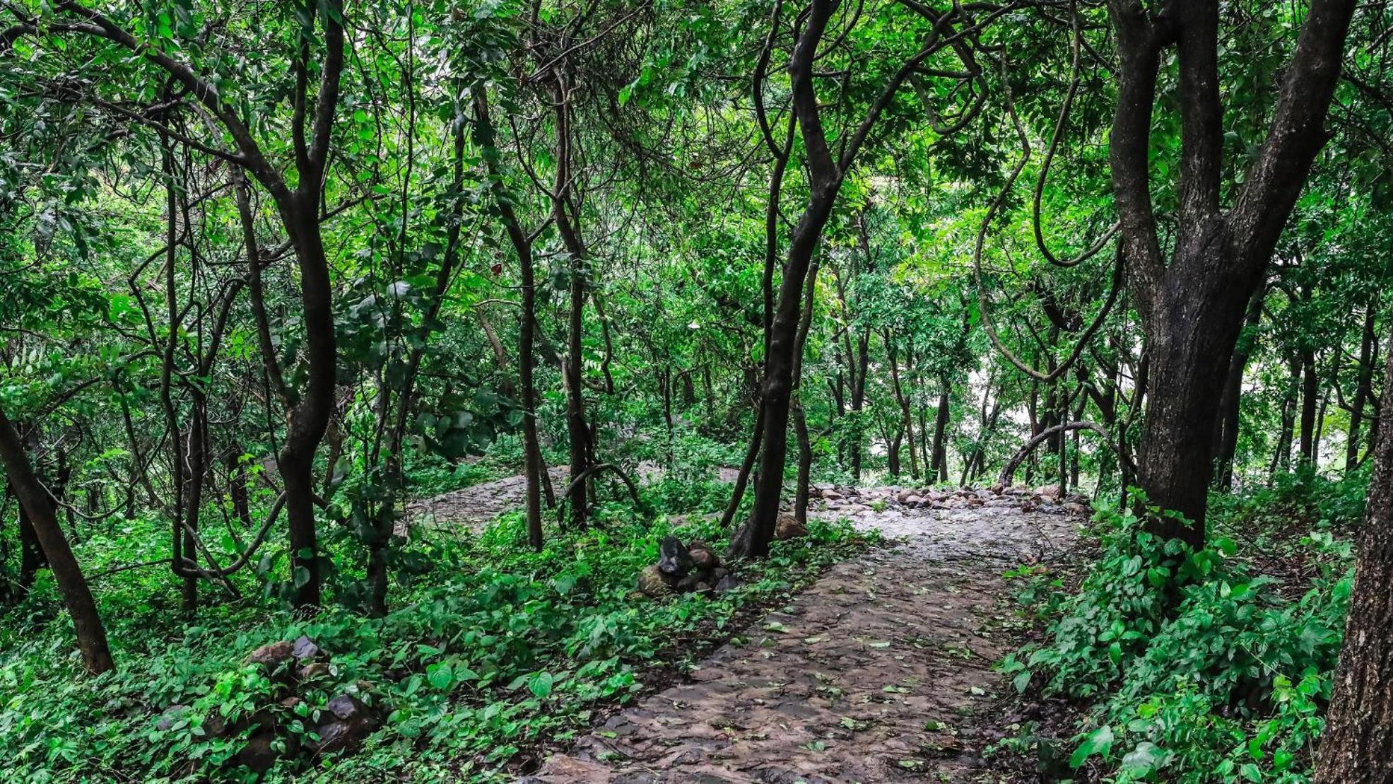Misty Green Hills Parks & Resorts Kondotty エクステリア 写真