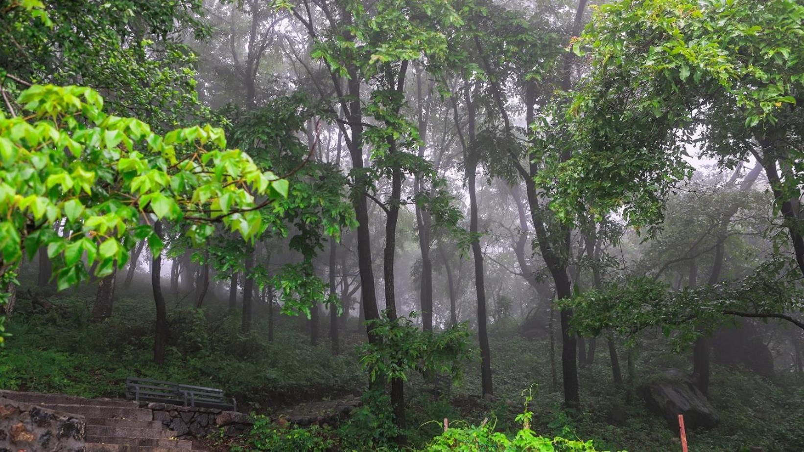 Misty Green Hills Parks & Resorts Kondotty エクステリア 写真