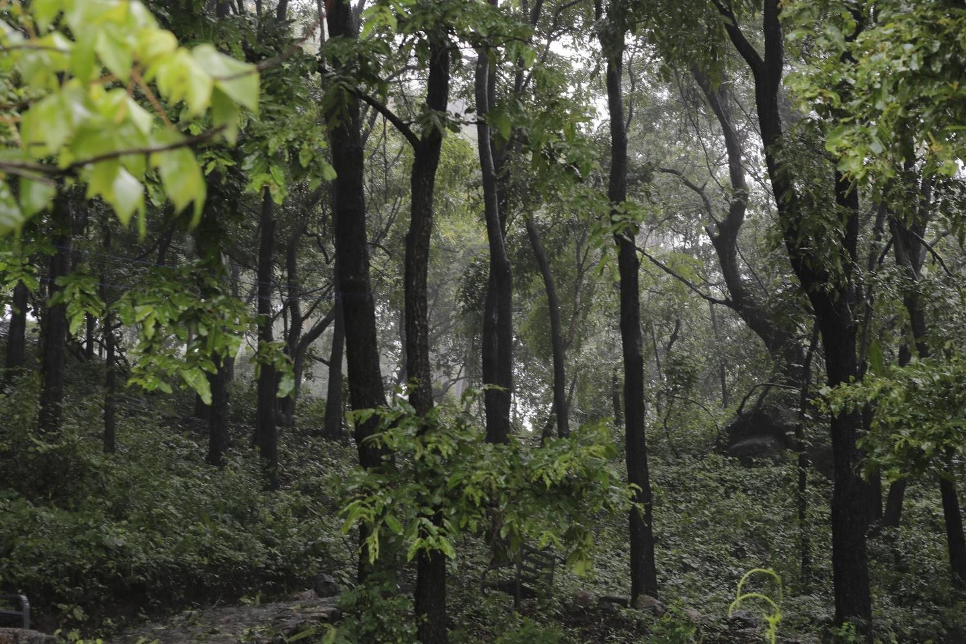 Misty Green Hills Parks & Resorts Kondotty エクステリア 写真