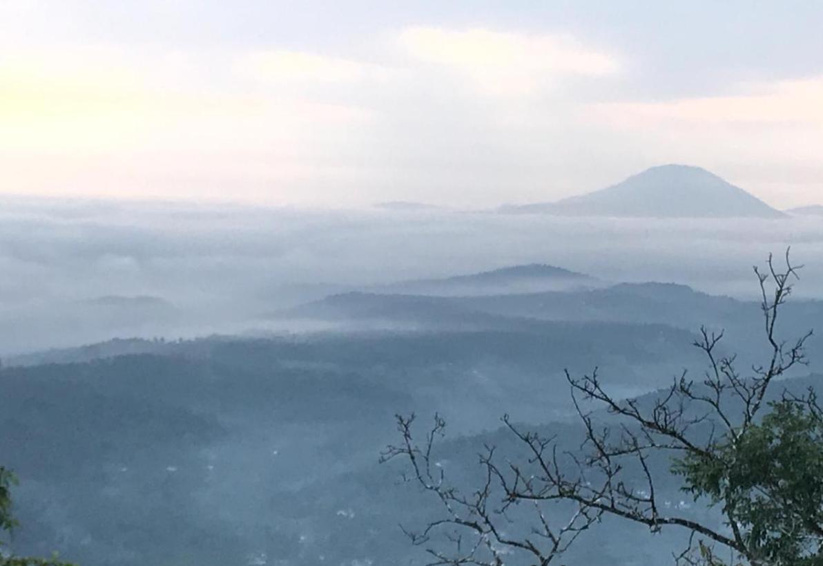 Misty Green Hills Parks & Resorts Kondotty エクステリア 写真
